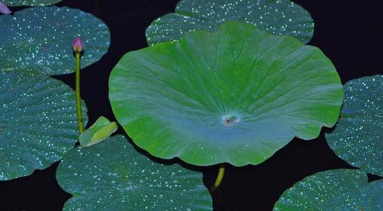 ���Ͳ���ʲô �ֻ���Ļû���治����