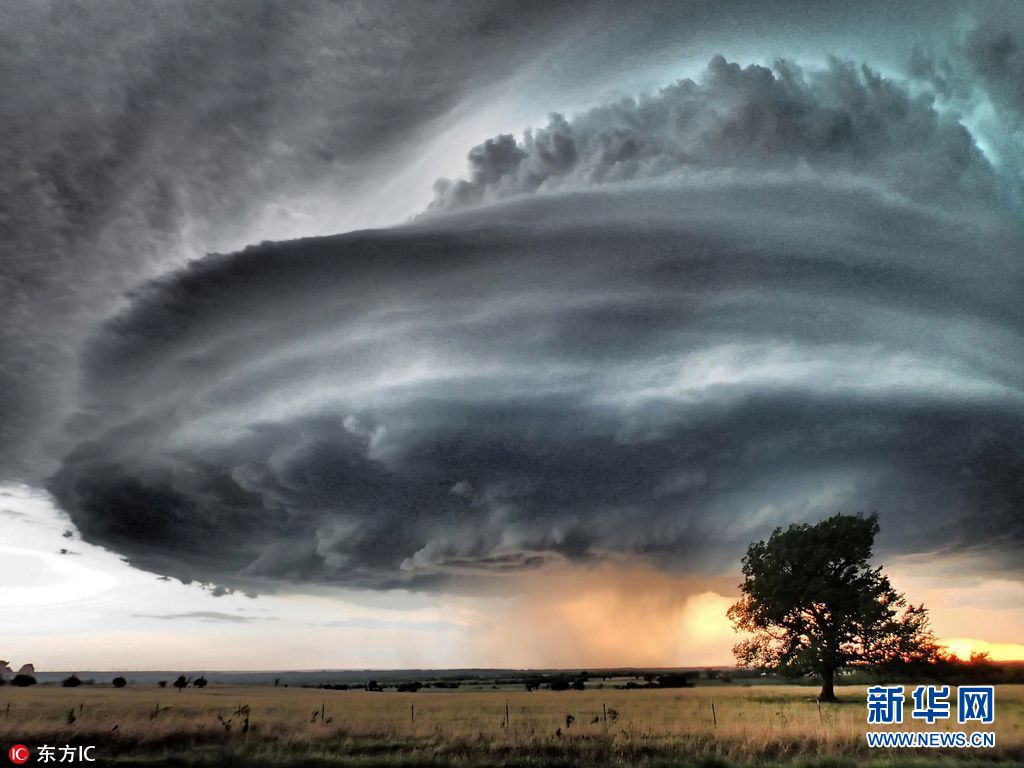 ������������׷�𼫶����� ��������UFO״�籩