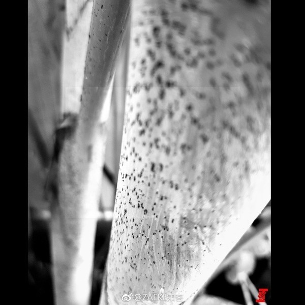 һ��5����