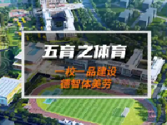 <strong>������+�������������ѡ��桱���»���</strong>